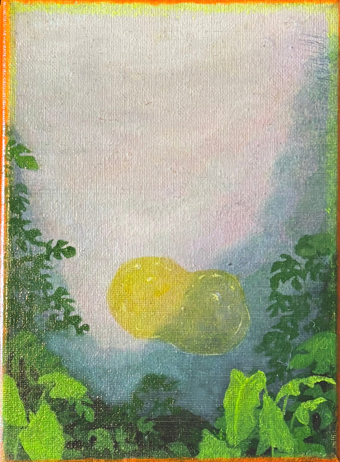 Guillaume Lebourg - Feeling the wonder of sun