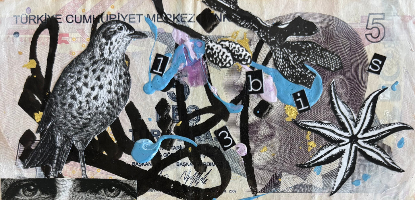 13 Bis et Lady K - WHITE 5/17 2025
